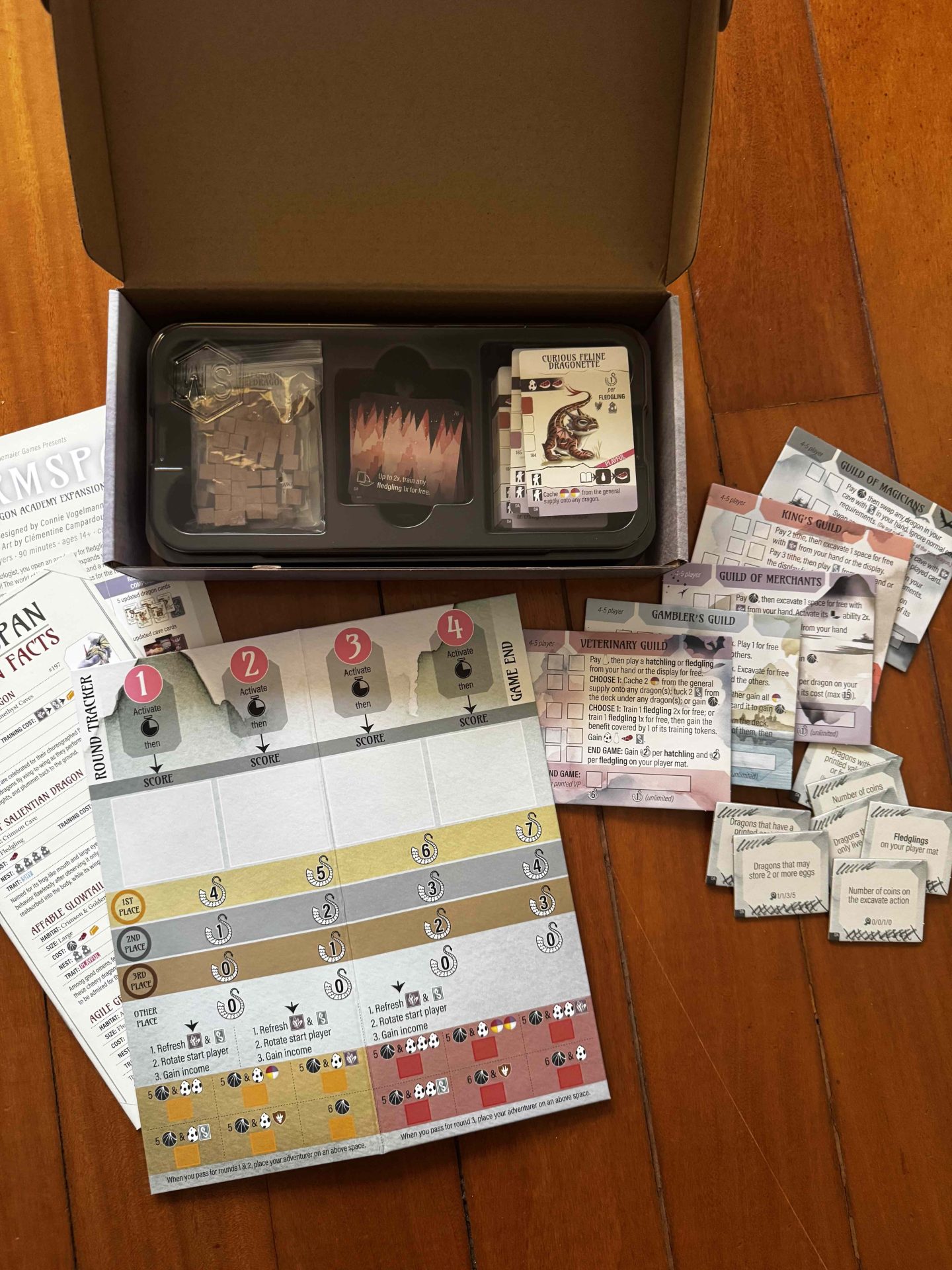 Wyrmspan: Dragon Academy